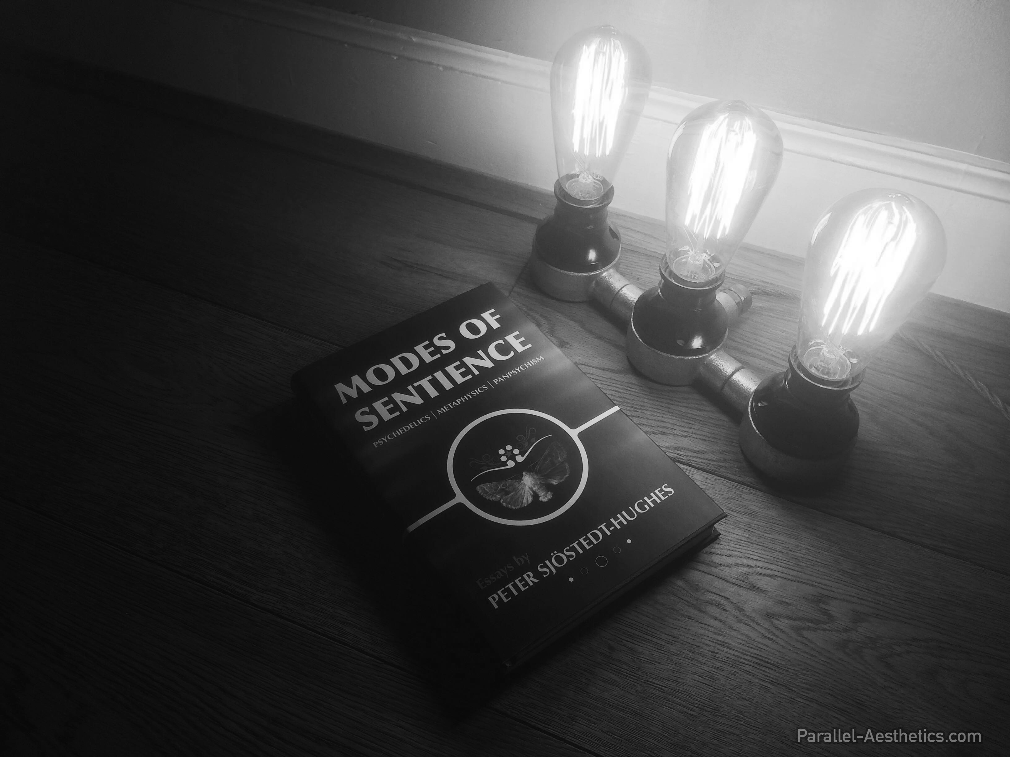 Modes of Sentience: Book Review – Parallel Aesthetics